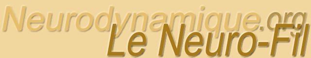 SomaSimple Discussion Lists